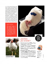 Makro Epikure od 10.4.2013, strana 7 