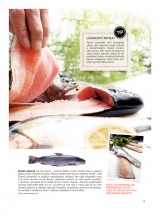 Makro Epikure od 10.4.2013, strana 13 