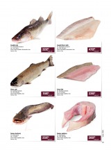 Makro �esk� klasika III od 24.4.2013, strana 25 