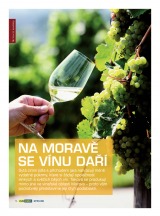 Makro Epikure od 12.3.2014, strana 14 