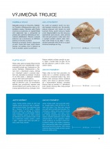 Makro Epikure od 7.5.2014, strana 17 