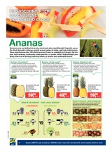 Makro Gastronomie �erstv� od 16.7.2014, strana 6 