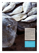 Makro Epikure od 30.7.2014, strana 11 