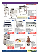 Makro Gastronomie trvanliv� zbo�� od 13.8.2014, strana 41 