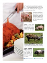 Makro Epikure od 19.11.2014, strana 3 