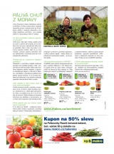 Makro Epikure od 11.2.2015, strana 11 