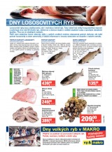 Makro Gastronomie �erstv� od 25.3.2015, strana 5 