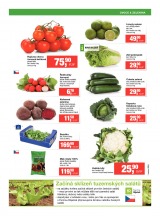 Makro Gastronomie �erstv� od 6.5.2015, strana 7 