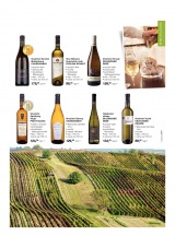 Makro Epikure od 17. 6. 2015, strana 19 