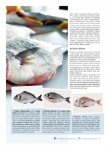 Makro Epikure od 1.7.2015, strana 3 